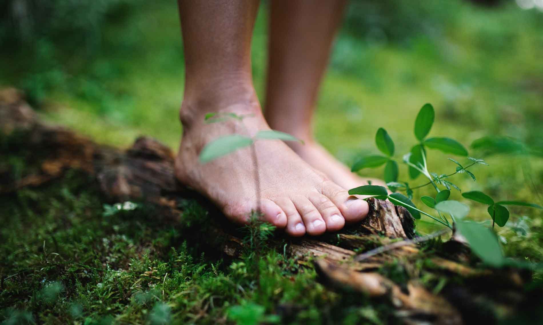 Grounding Techniques 7 Days of Connecting with Nature for Better Health