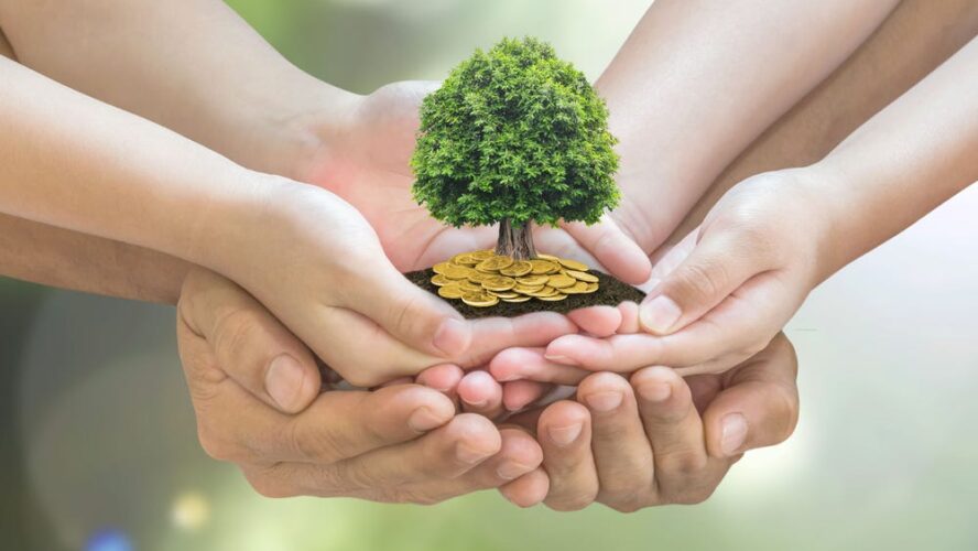 Sustainable Lifestyle Hacks Easy Ways to Incorporate Green Living into Your Daily Routine