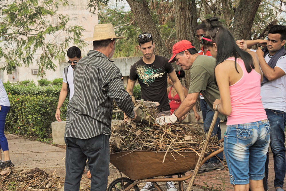 The Social Dynamics of Alternative Living Communities What I Found