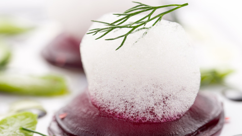 Edible Science: Experimenting with Gelification and Foam in Recipes