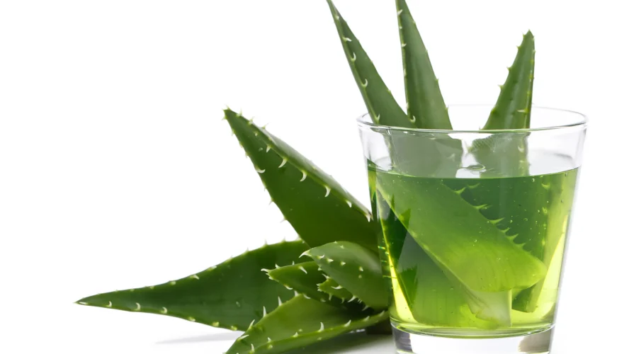 The Power of Aloe Vera in Your Skincare Routine
