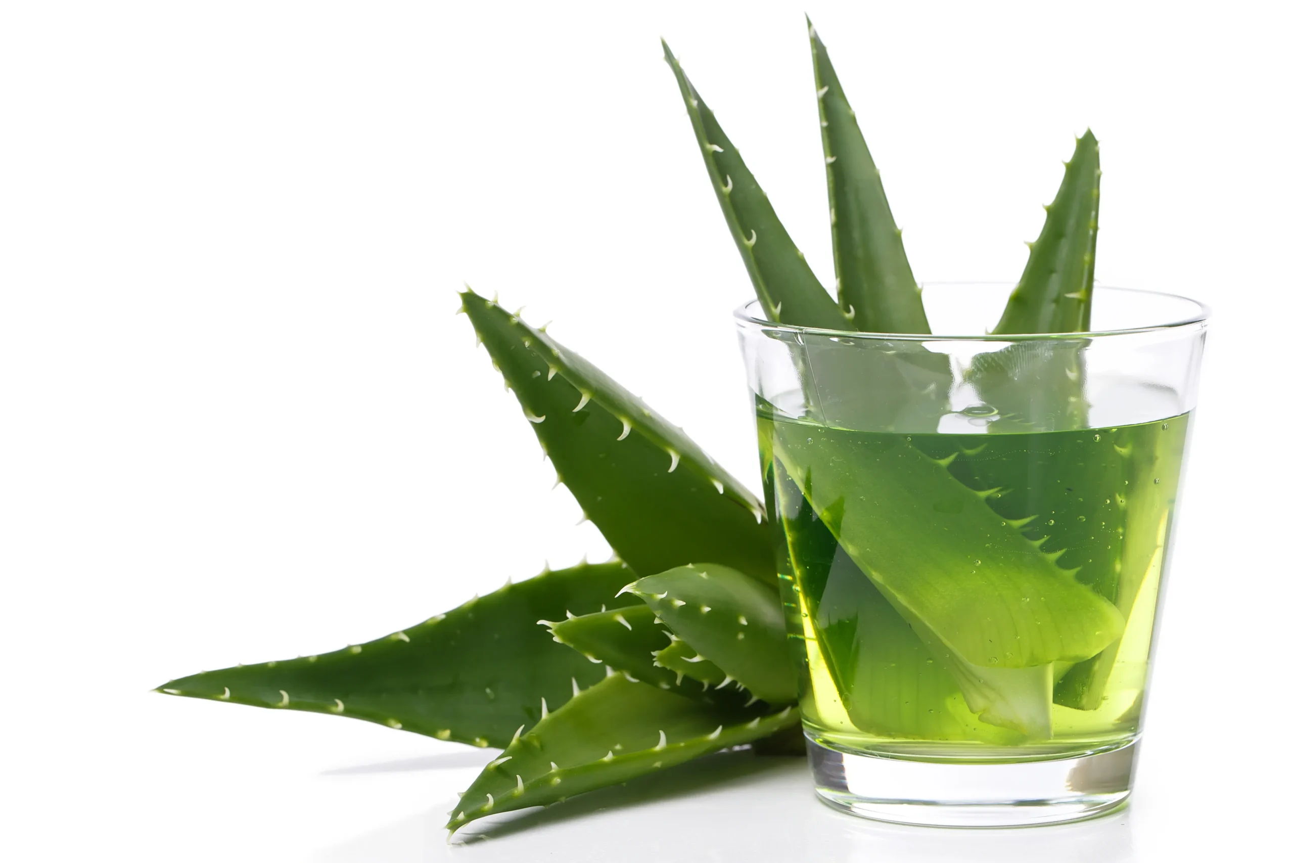 The Power of Aloe Vera in Your Skincare Routine