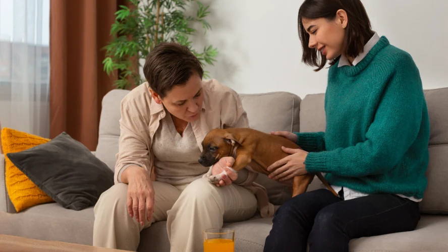 How Pet Therapy Transformed My Mental Health: A Personal Journey