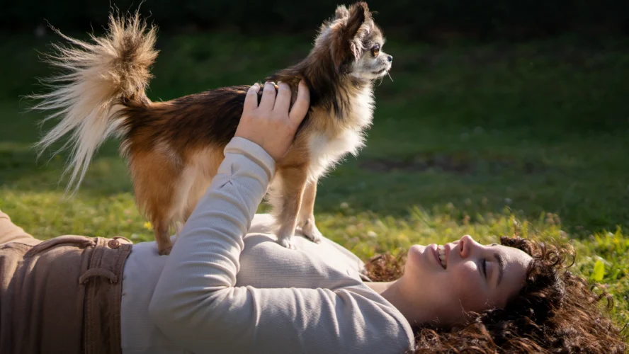 Exploring the Healing Power of Pets: Why Pet Therapy Works