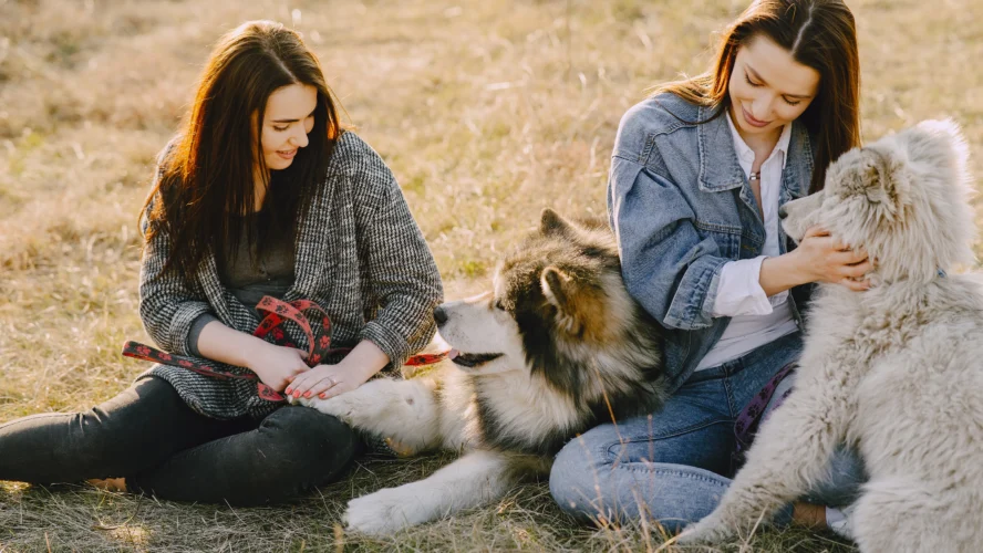 Pets and Anxiety Relief: How Animal Companionship Calms the Mind