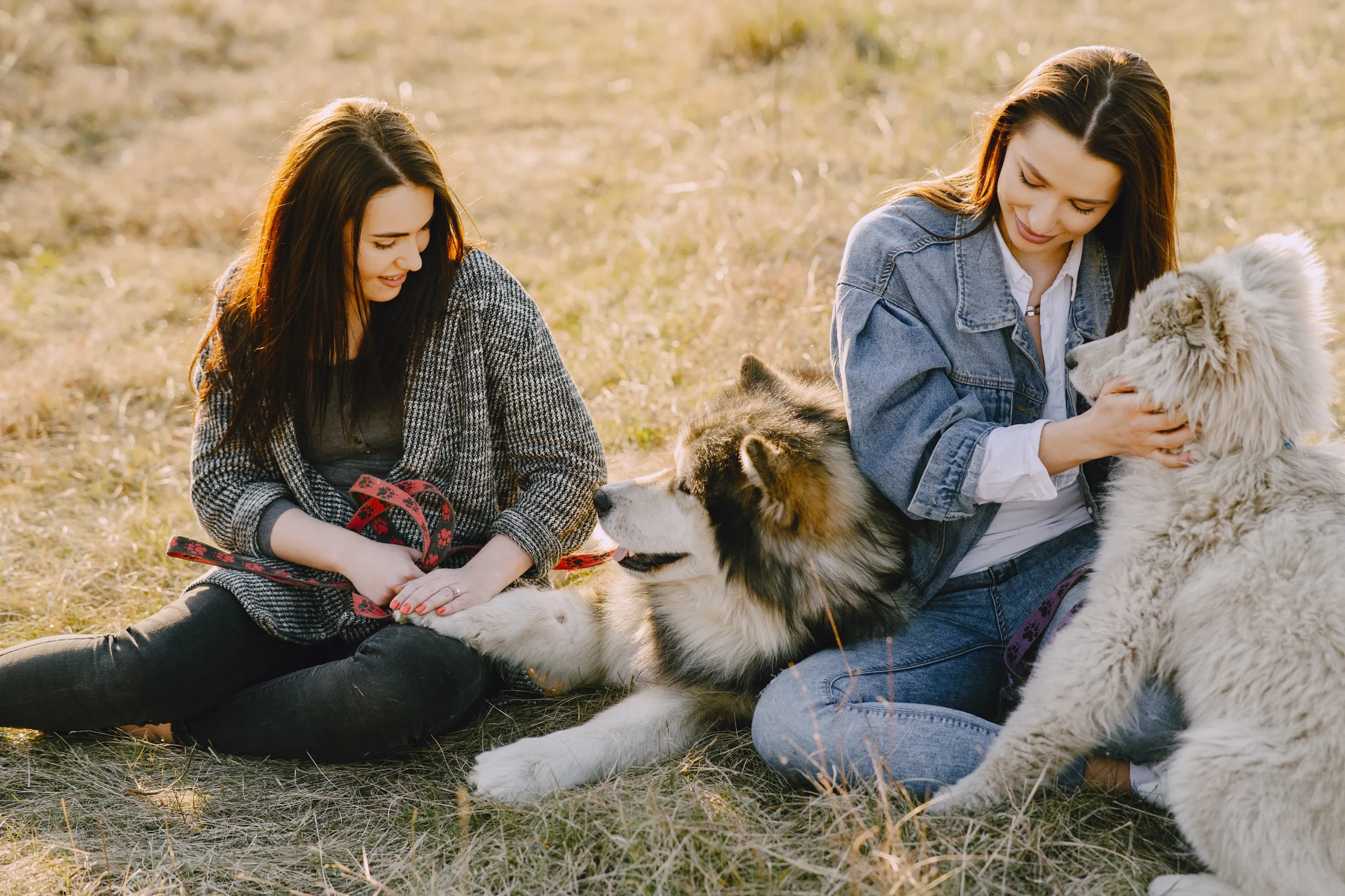 Pets and Anxiety Relief: How Animal Companionship Calms the Mind