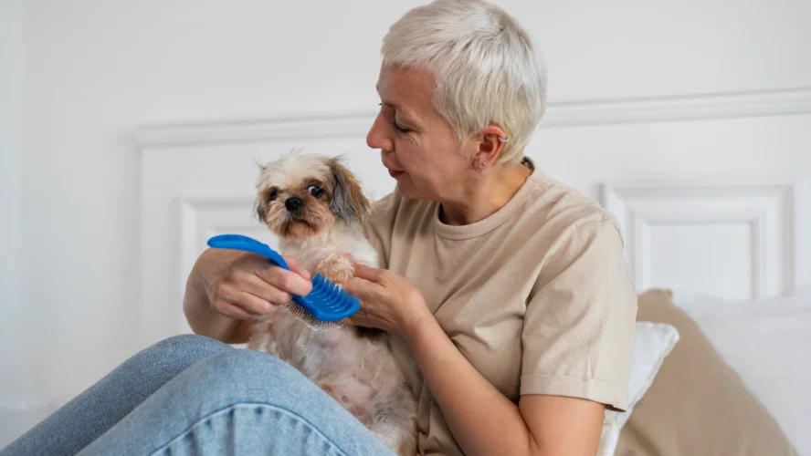 Pet Therapy for Seniors: How Animals Improve Quality of Life in Older Adults