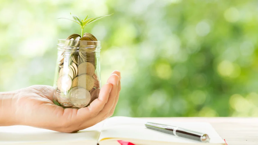 Financial Wellness Experiments: Testing Budgeting Techniques for Peace of Mind