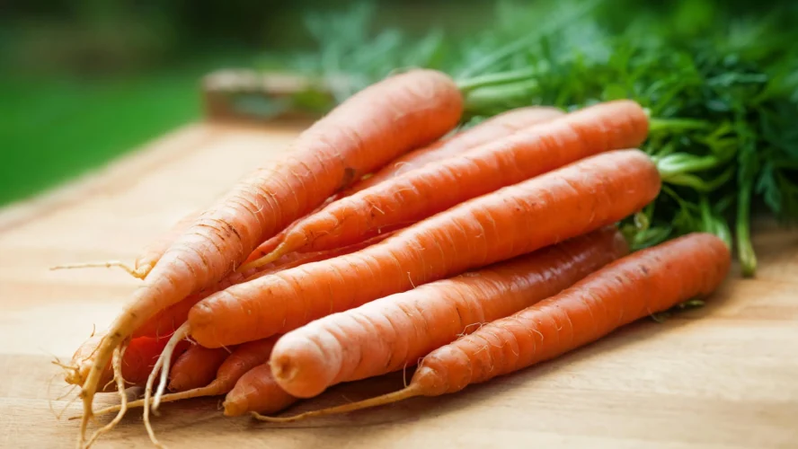 From Garden to Table: Experimenting with Homegrown Ingredients